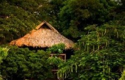 Bungalow Fuente playascondida com 1
